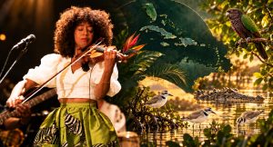 Read more about the article An Evening in Morges to Launch Support for Four Caribbean Projects